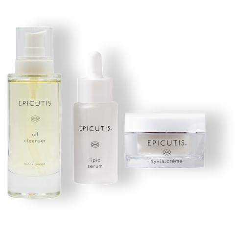 Epicutis Simple System - Brandy Watkins Beauty