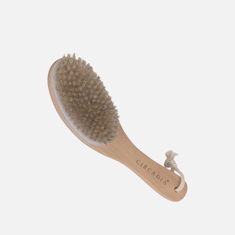 Circadia Body Brush - Brandy Watkins Beauty